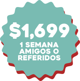 Precio copy 3
